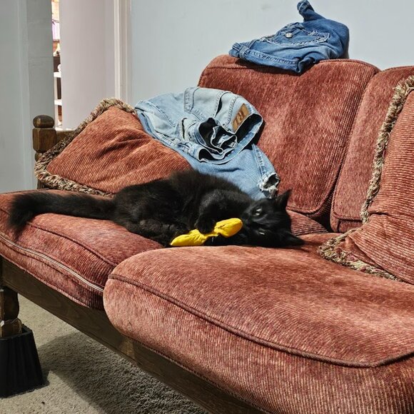 Come and chill with us!! - Picture 7 of 8